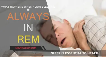 Dreaming Always: The REM Sleep Mystery