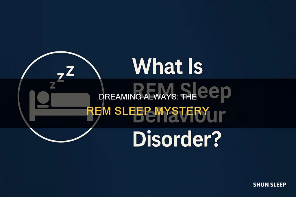 what happens when your sleeping is always in rem