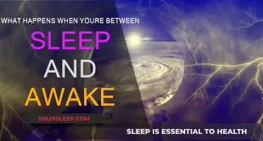 The Mind's Transition: Sleep to Awake
