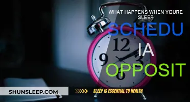 Sleep Schedules: The Impact of Opposite Routines