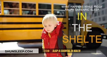 The Calm Before the Storm: A Night in the Shelter