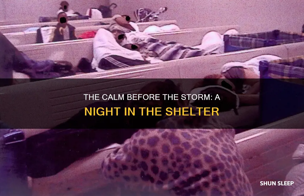 what happens while piggy ralph samenric sleep in the shelter