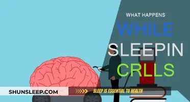 How Sleep Affects Your Health and Wellbeing