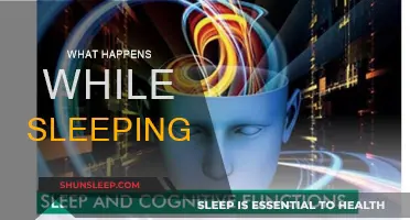 The Brain's Night Shift: Secrets of Sleep