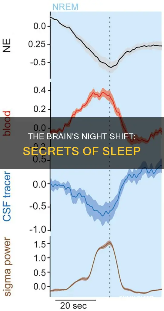 what happens while sleeping