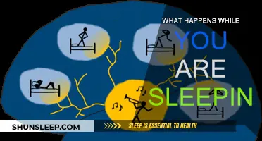 The Brain's Night Shift: Unlocking Sleep's Power