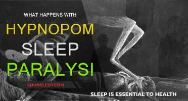 Sleep Paralysis: The Hypnopompic State Explained