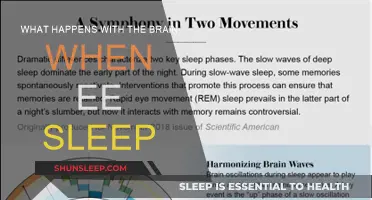 How Sleep Affects Your Brain