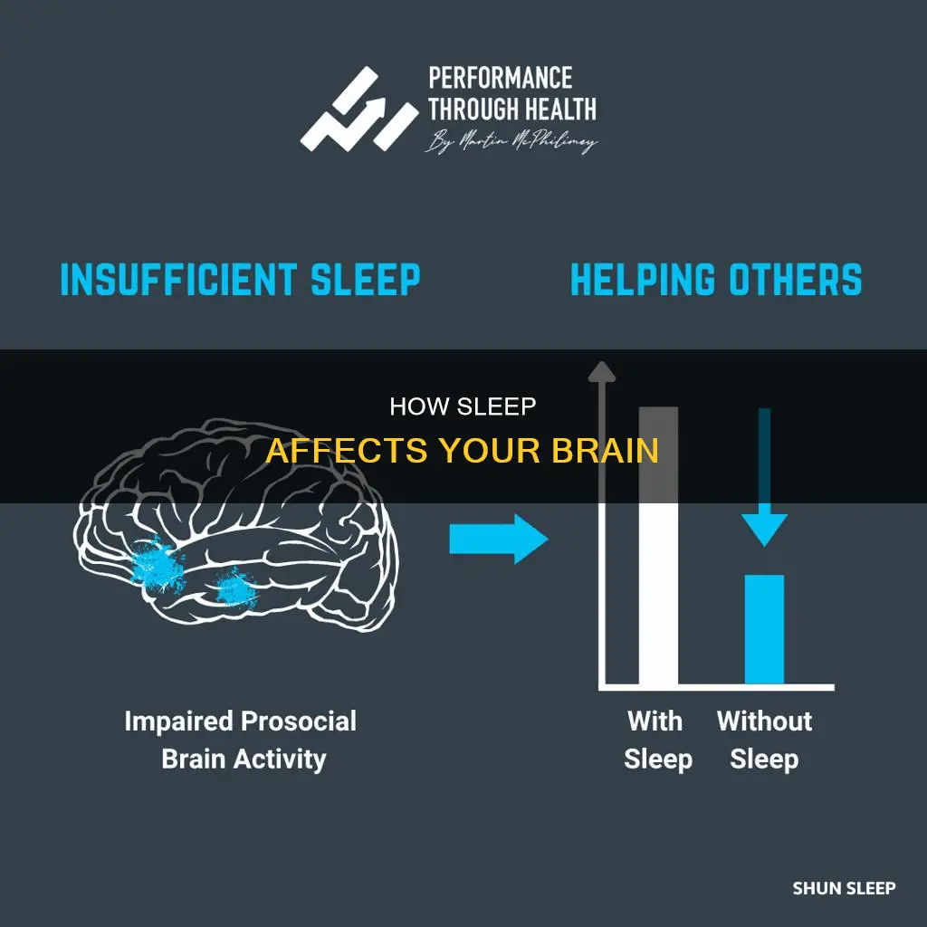 what happens with the brain when ee sleep