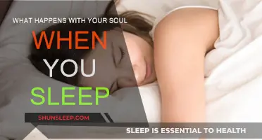 Exploring the Soul's Journey During Sleep