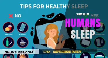 Unlocking Restful Nights: Proven Strategies to Enhance Human Sleep Quality