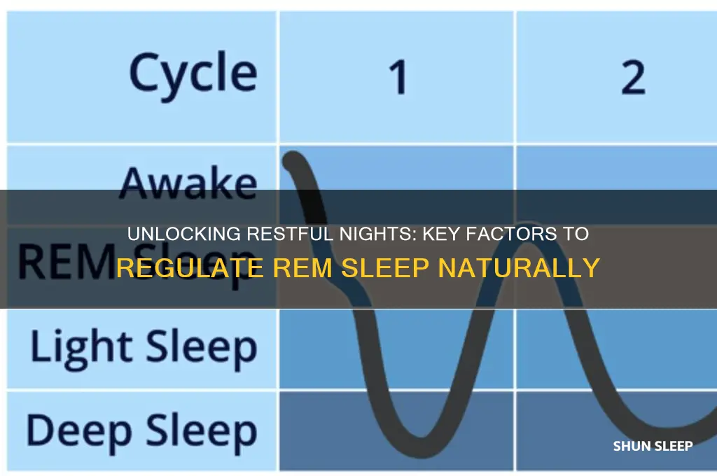 what helps regulate rem sleep