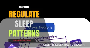 Mastering Rest: Key Strategies to Regulate Sleep Patterns Naturally