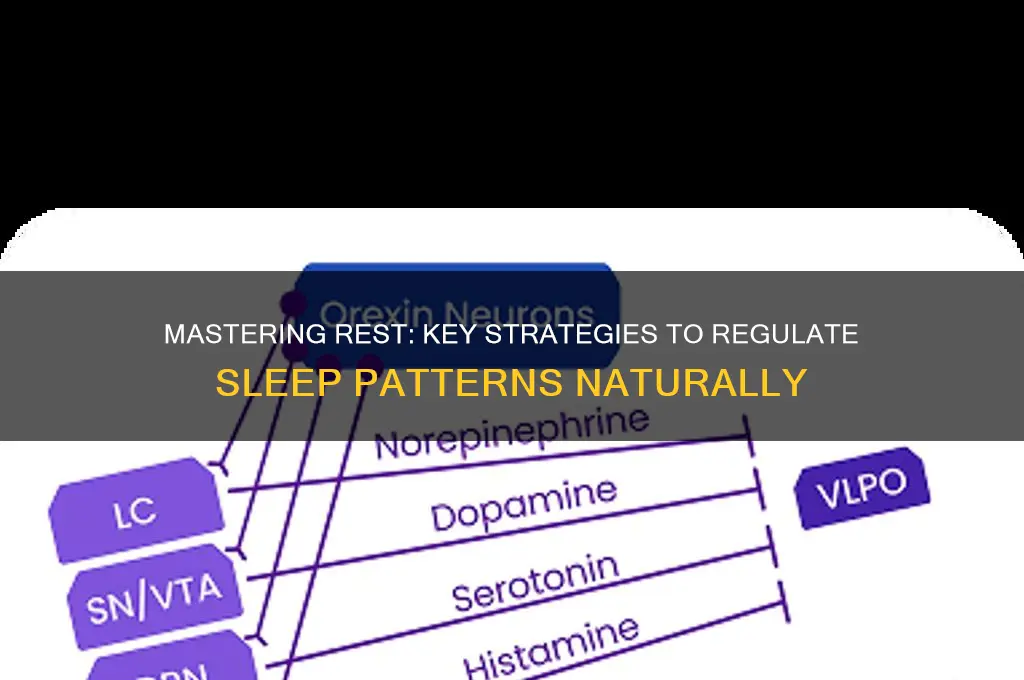 what helps regulate sleep patterns