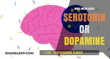 Serotonin vs. Dopamine: Which Neurotransmitter Enhances Better Sleep?