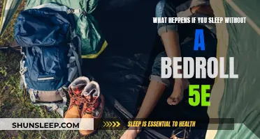 Sleep Without a Bedroll: Risking the Elements