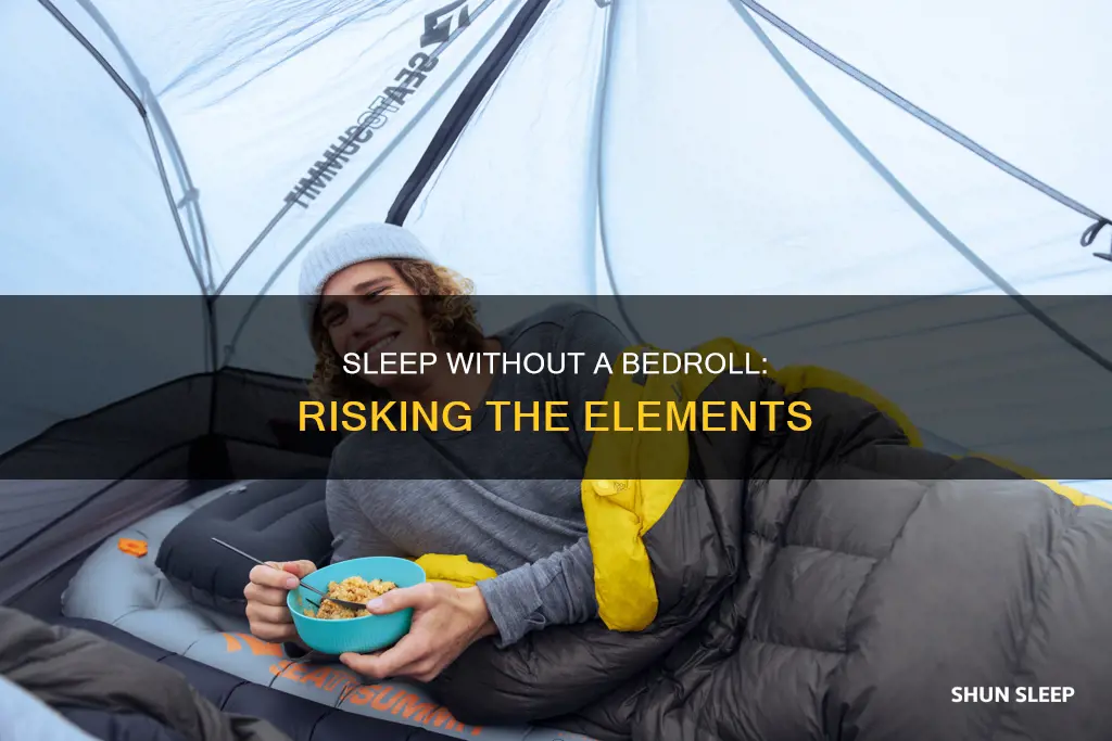 what heppens if you sleep without a bedroll 5e