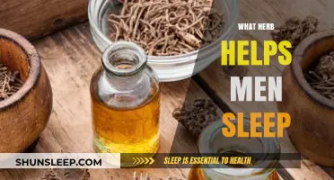 Herbal Remedies for Men: Best Herbs to Enhance Sleep Quality