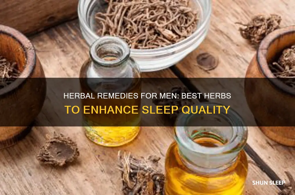 what herb helps men sleep