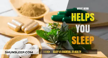 Discover the Best Herb to Enhance Your Sleep Quality Naturally