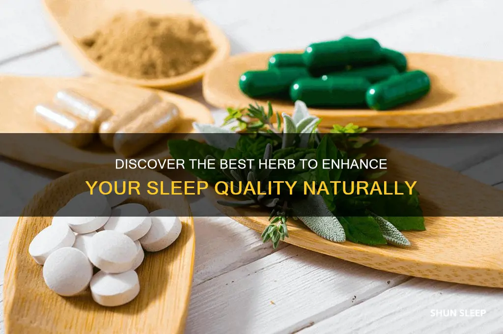 what herb helps you sleep