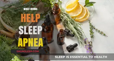 Herbal Remedies for Sleep Apnea: Natural Herbs to Improve Sleep