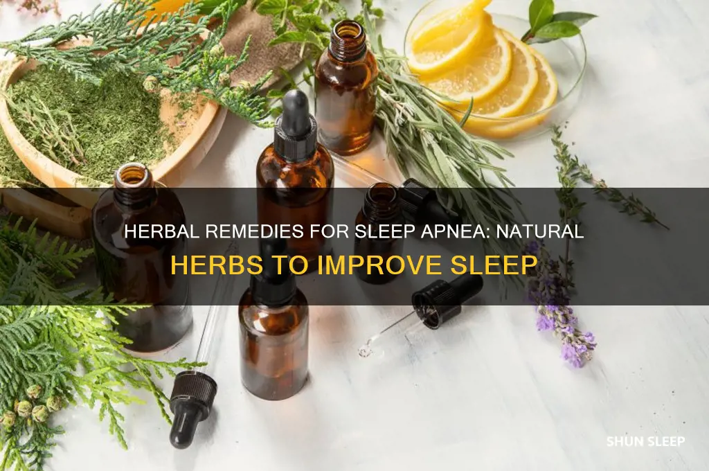 what herbs help sleep apnea
