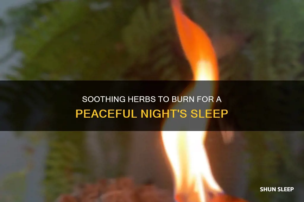 what herbs to burn to help relax for sleep