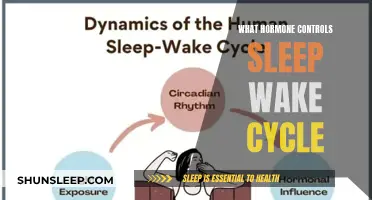 The Master Hormone: Unlocking the Secrets of Sleep-Wake Regulation