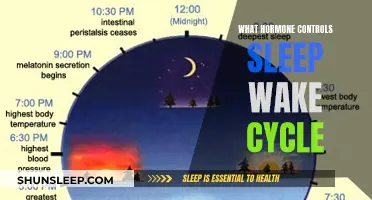 Melatonin's Role in Sleep-Wake Cycles Explained