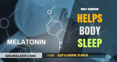 Melatonin: The Key Hormone That Regulates Your Sleep Cycle