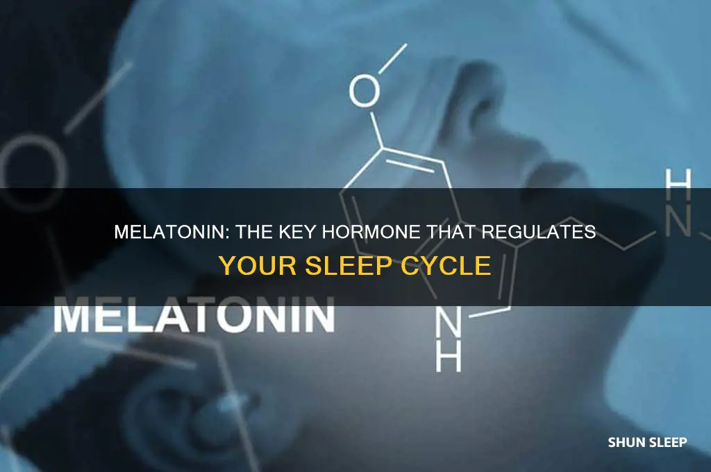 what hormone helps body sleep