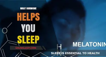 Melatonin: The Key Hormone for Better Sleep and Restful Nights