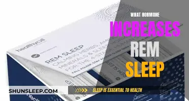 Hormones and Sleep: The REM-Regulating Connection