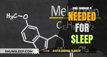 Melatonin: The Sleep-Wake Cycle's Hormone