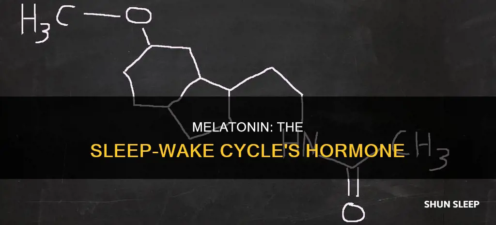 what hormone is needed for sleep