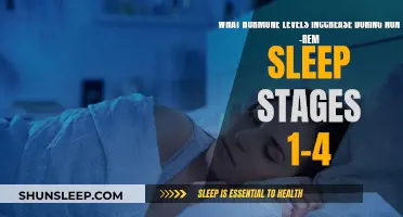 Hormone Levels During Non-REM Sleep: What's the Deal?