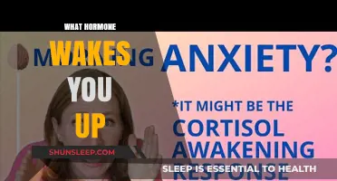 The Morning Hormone: Unlocking the Mystery of Your Wake-Up Call