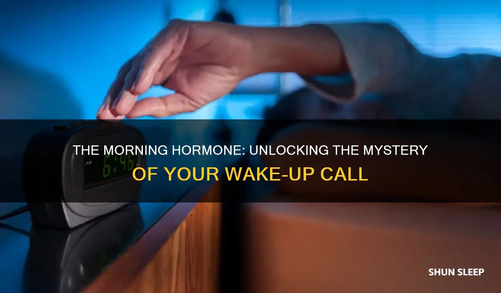 what hormone wakes you up