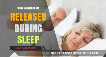 Sleep Hormones Unveiled: Exploring the Chemicals Released During Rest