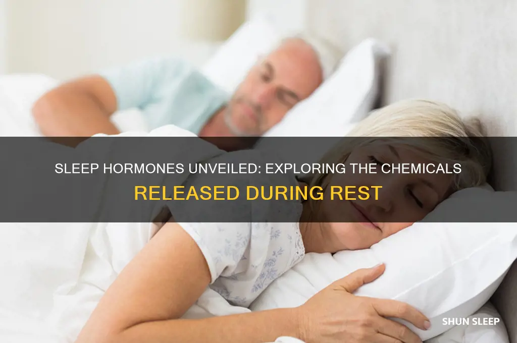 what hormones get released during sleep