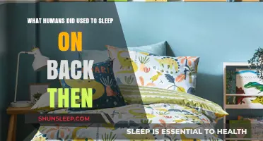 The Evolution of Sleep: A Historical Perspective