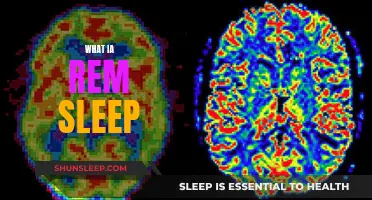 Understanding REM Sleep: The Science Behind Dreaming