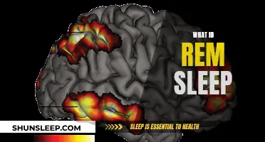 Understanding REM Sleep: The Science Behind Dreaming