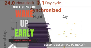 Early Risers: Late Sleepers' Guide to a Productive Day