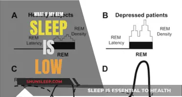 REM Sleep: Low Levels and Their Impact