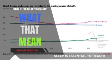 Sudden Death in Sleep: What Does It Mean?
