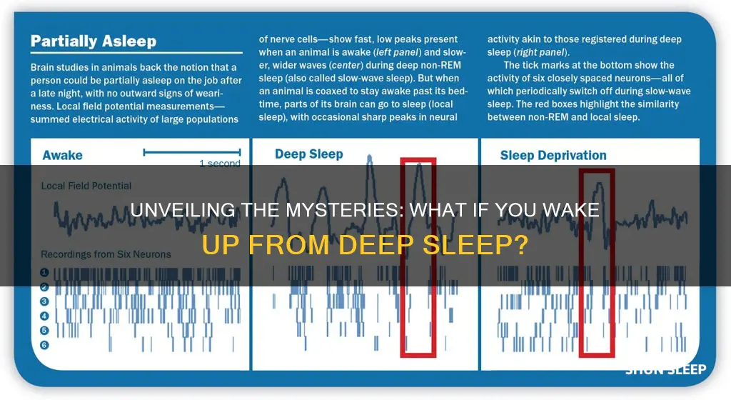 what if you wake up from deep sleep