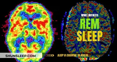 Initiating REM Sleep: The Brain's Role Explored