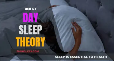 Sleep Theory: Three-Day Cycle for Optimal Rest